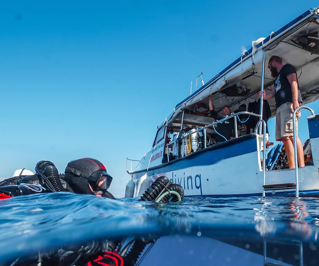 explore_subtropical_01